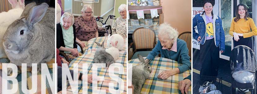 Residents Benefit from Calm, Relaxed Interaction with Bunnies